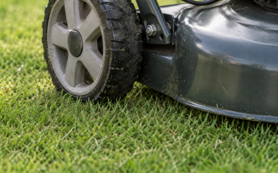 MZK 20V 13-Inch Electric Lawn Mower vs BLACK DECKER Electric Lawn Mower: Which Should You Buy?