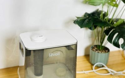 Levoit Review: Best Air Purifiers Tested For Home Spaces