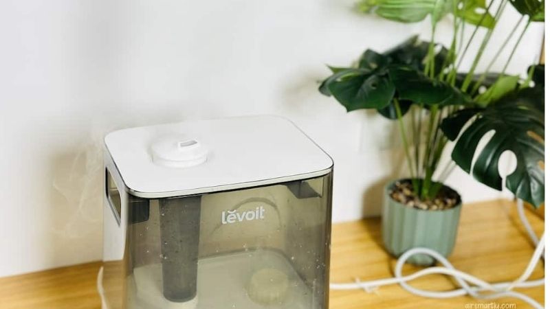 Top Levoit Air Purifiers for Everyday Performance