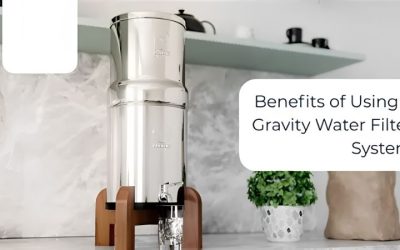 Gravity Water Filter Picks For Power-Free, Off-Grid Water