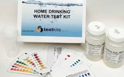 Home Water Testing Kit Picks: Test Strips Or A Lab Test