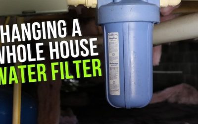 When To Replace Water Filter: Signs And Timing By Filter