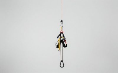 Best Arborist Climbing Ropes in 2026: Compared and Ranked