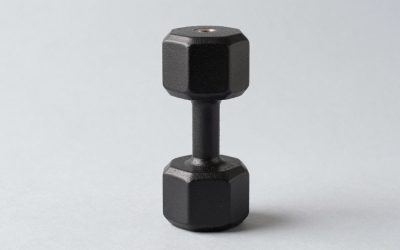 Best Arborist Throw Weights in 2026: Compared and Ranked