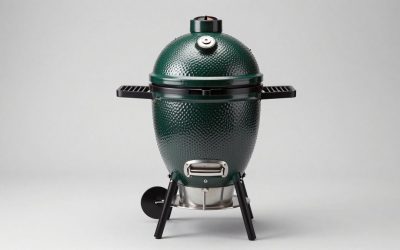 Best Big Green Egg Grills for Every Cooking Setup