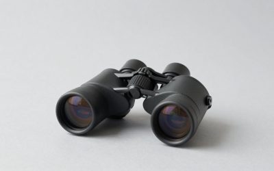 Best Binoculars for Bird Watching in 2026: Compared and Ranked