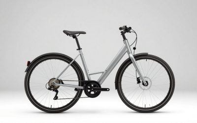 Best Cargo Electric Bikes for Small Businesses in 2026: Compared and Ranked