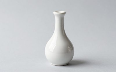Best Ceramic Neti Pots for Sinus Irrigation in 2026: Compared and Ranked