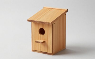 Best Chicken Nesting Boxes in 2026: Compared and Ranked