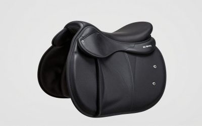 Best English Saddles in 2026: Compared and Ranked