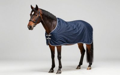 Best Horse Blankets in 2026: Compared and Ranked