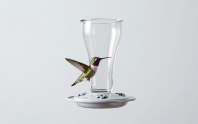 Best Hummingbird Feeders for Gardens in 2026: Compared and Ranked