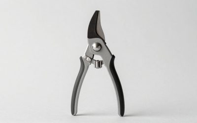 Best Pole Pruners in 2026: Compared and Ranked