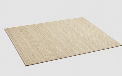 Best Rugs for Inside the Front Door: Entry Picks 2026
