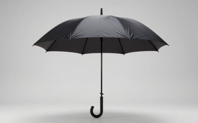 Best Umbrella Lights for Beginner Photographers in 2026: Compared and Ranked