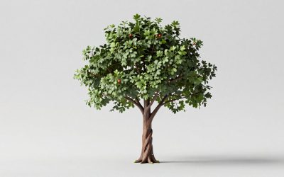 How to Get Corruption Points and the Corrupted Tree in GAG