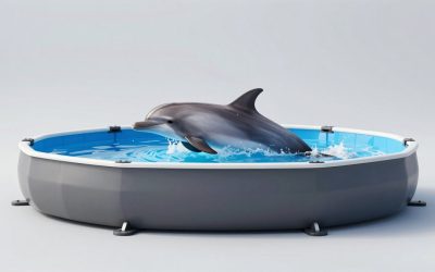 Dolphin Nautilus CC Automatic Robotic Pool vs WYBOT C1 Cordless Robotic Pool Vacuum: Which Should You Buy?