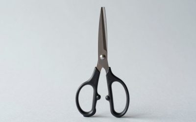 Fabric Scissors Professional vs Fiskars 8 RazorEdge Fabric Scissors: Which Should You Buy?