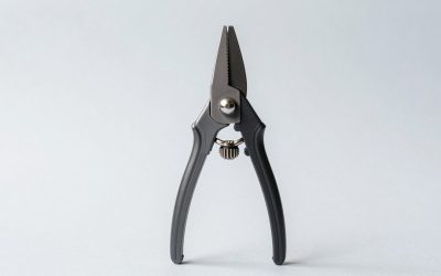 How to Choose Pole Pruners: What Actually Matters