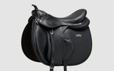 Laiba Emporium English Saddle vs Close Contact Leather English Jumping Horse: Which Should You Buy?