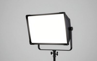 NEEWER 43 Inch 110 Centimeter Light vs WELLMAKING 32 Reflector Photography: Which Should You Buy?