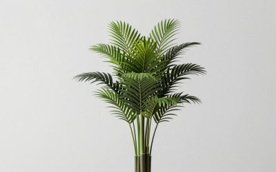 Plants vs Brainrots Codes: What Players Should Know